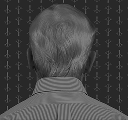 Prof. Dr. Hanspeter Kraft